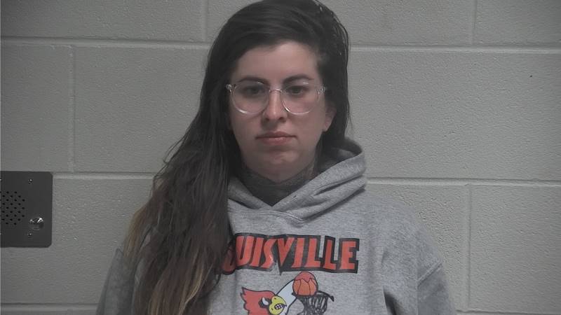 Mugshot - KRYSTA DANIELLE BORST