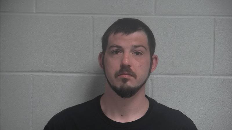 Mugshot - BRANDON LANE MELVIN