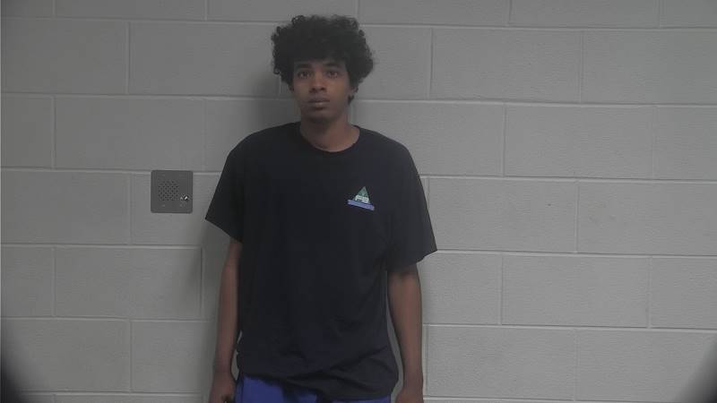 Mugshot - LUIS SERGIO IZAGUIRRE SABARI