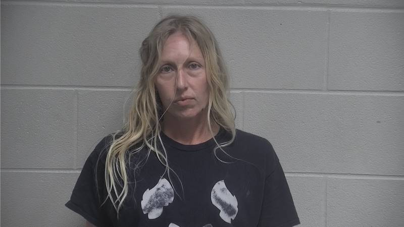 Mugshot - KIRSTEN NICHOLLE DAVANZATI