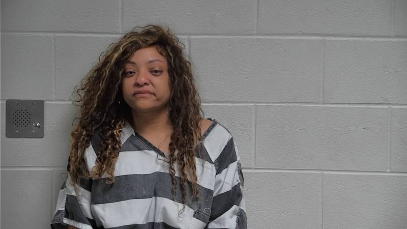 Mugshot - APRIL LEANNE SMITH