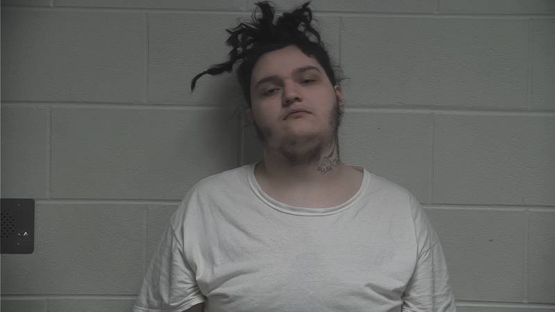 Mugshot - JASON LEWIS