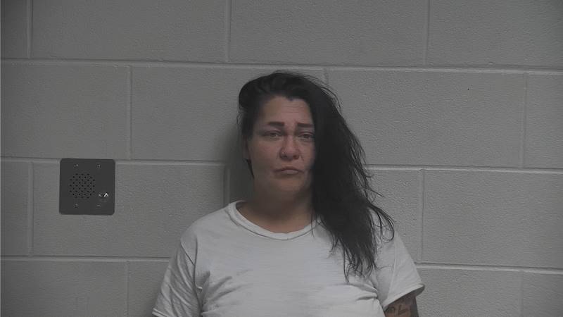 Mugshot - TAMARA CATHERINE DANSBY