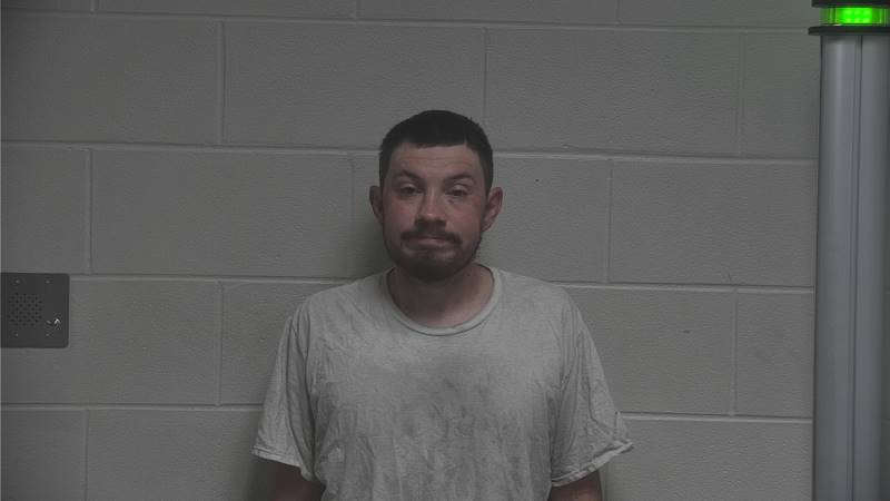 Mugshot - AUSTIN CODY SHERIDAN