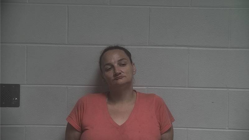Mugshot - TIFFANY NICOLE RILEY