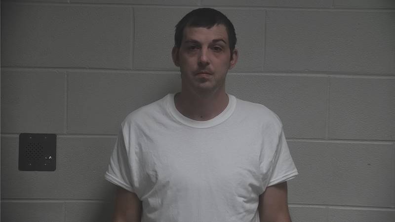 Mugshot - BRANDON LANE MELVIN